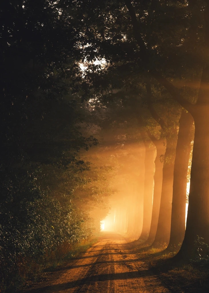 Ingmar at Unsplash